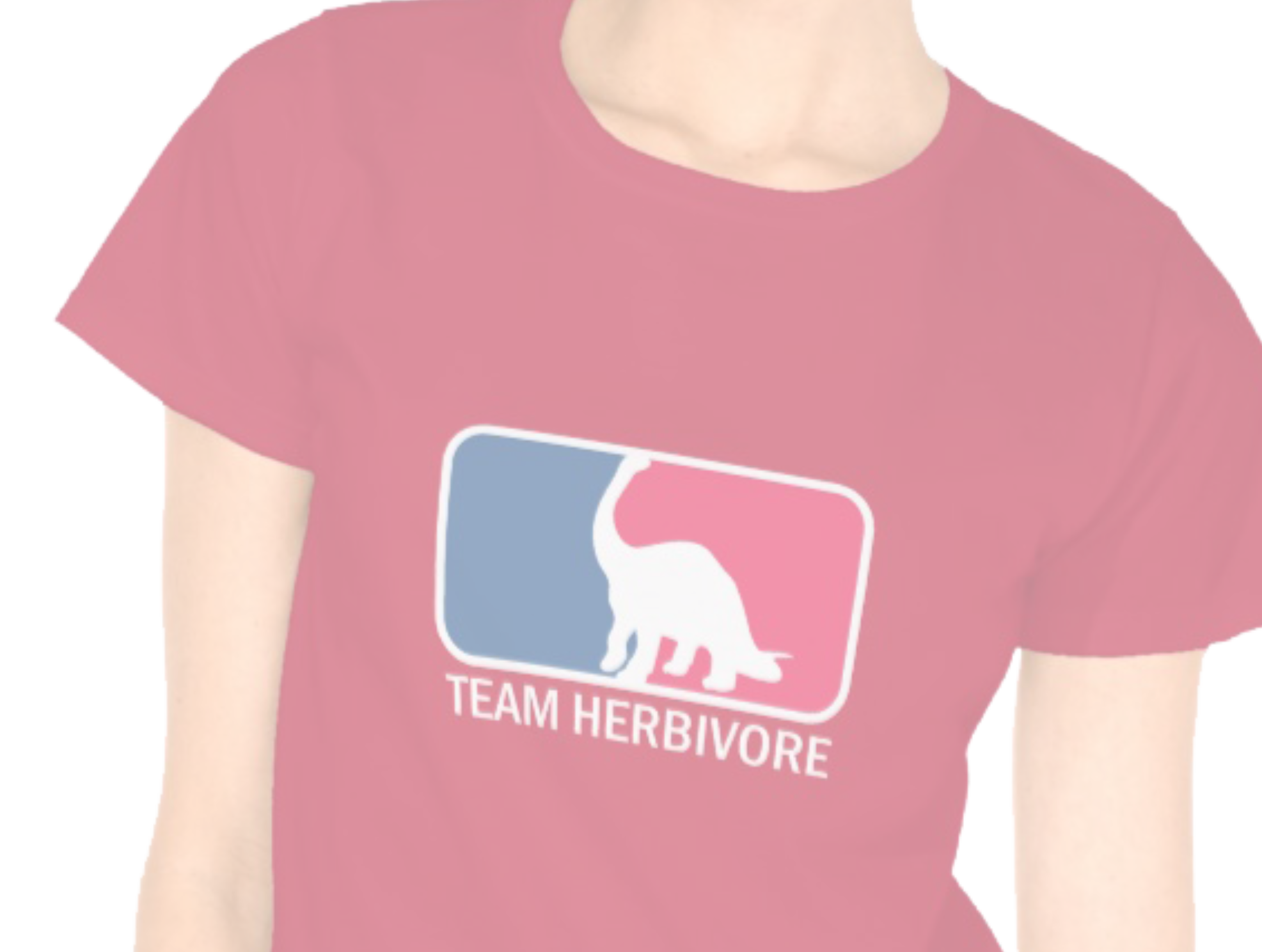 tshirt guys team behavore ladies shirt